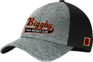 Biggby Coffee AAA New Era Shadow Stretch Mesh Cap