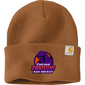 Chicago Phantoms Carhartt Watch Cap 2.0